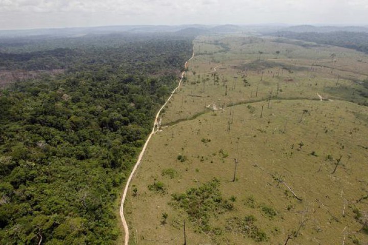 Brazil Slows Deforestation With Land Registration Program, New Analysis Shows